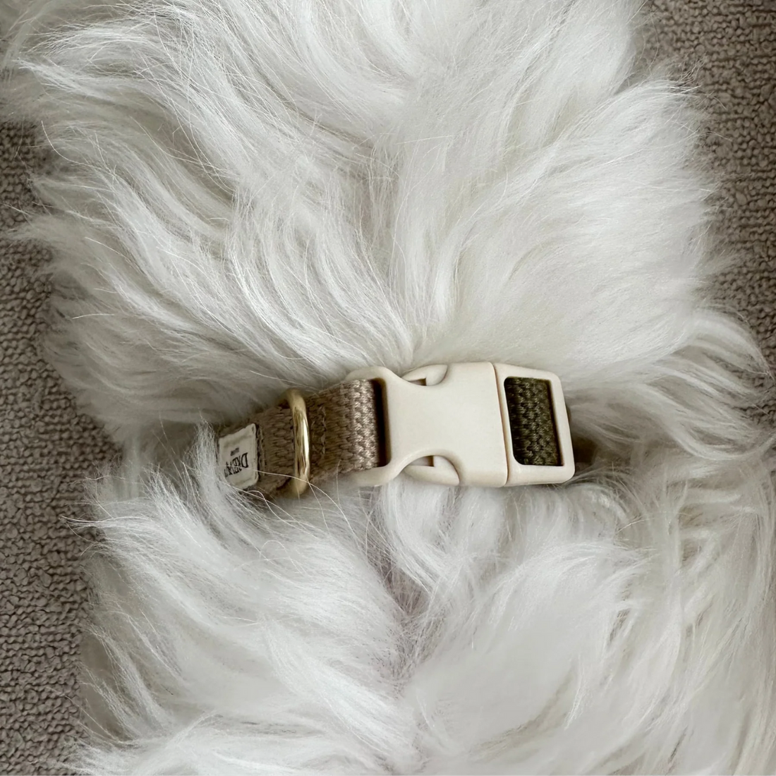 Drew's Dogwear Chocolate // Adjustable collar (dark brown)