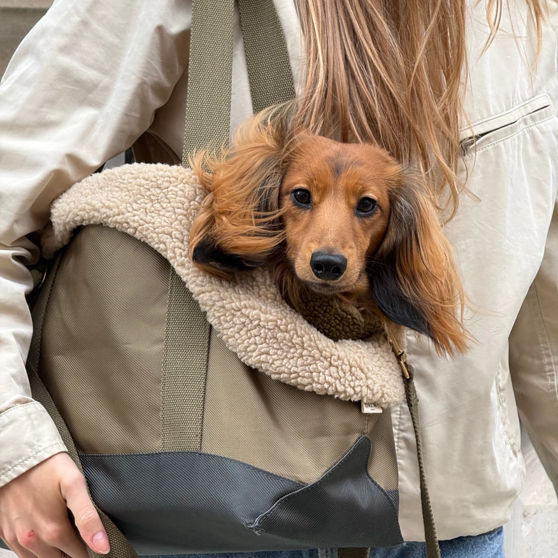 Drew's Dogwear Olive // Hundetaske med teddy inderfor (limited edition)