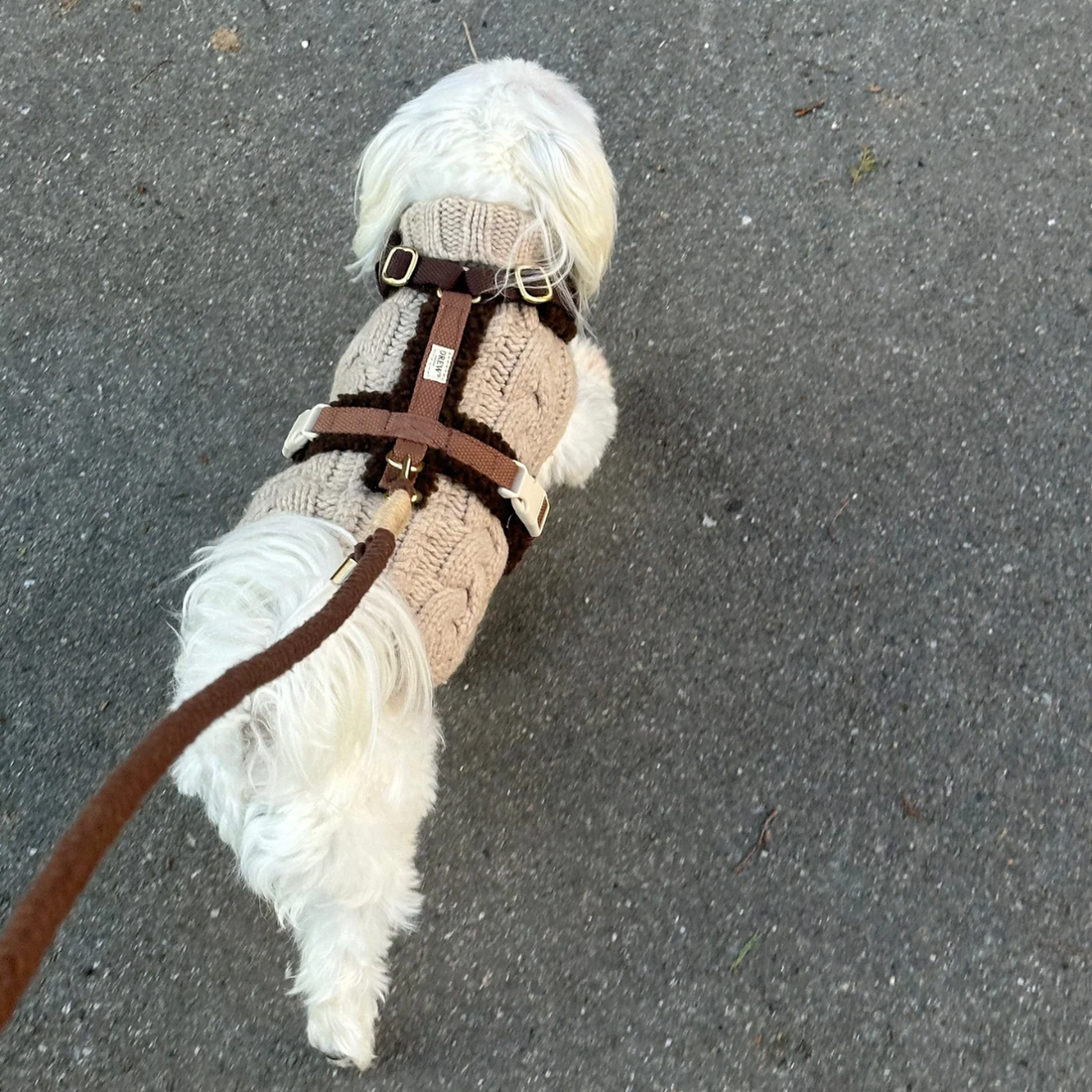 Drew's Dogwear Teddy // Justerbar y-sele (mørkebrun)