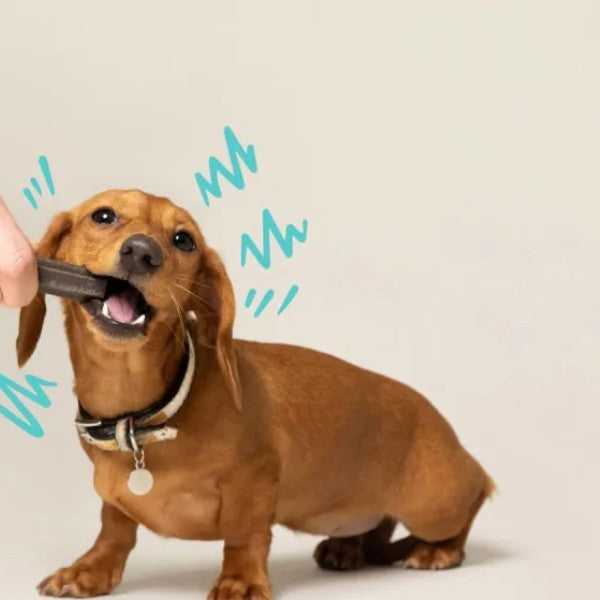 Edgar  Cooper Doggy Dental // Vegetarian chewing snack (apple and eucalyptus)