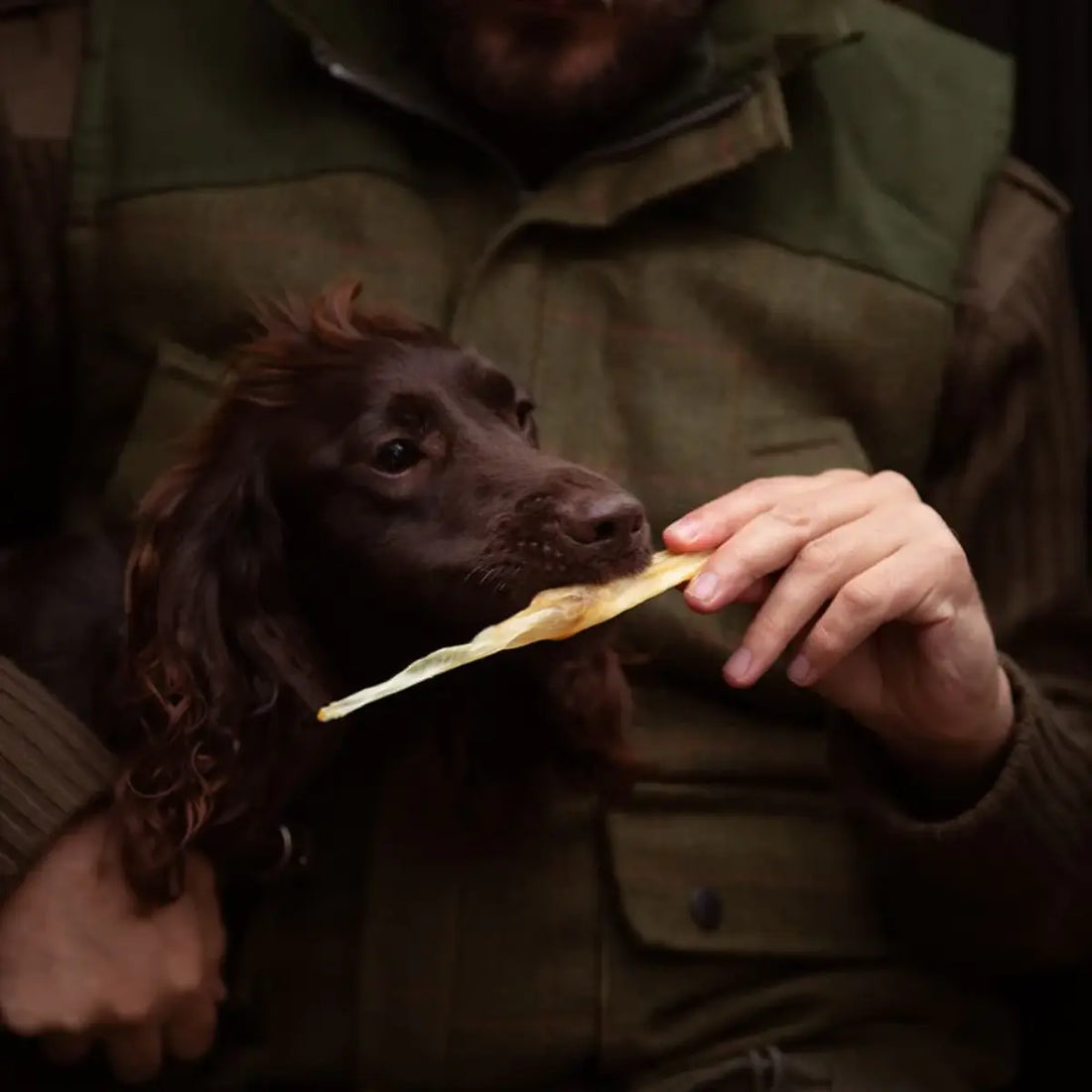 Essential Small Lamb Skin Delights // Snacks af 100% tørret lammehud
