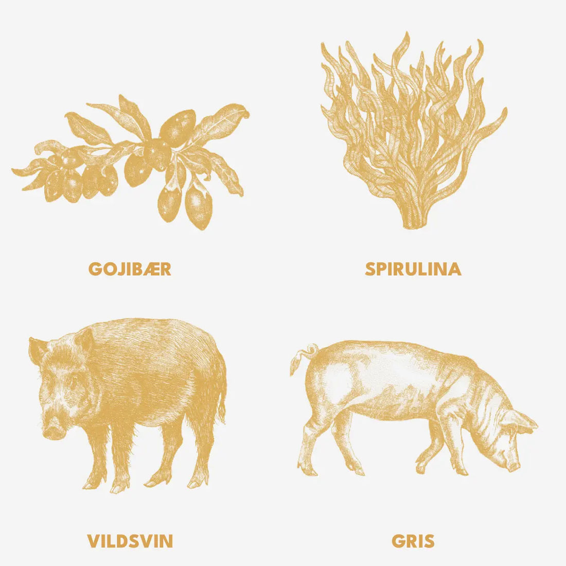 Essential Kingdom Living Paté // Vådfoder med vildsvin og gris (400 g)