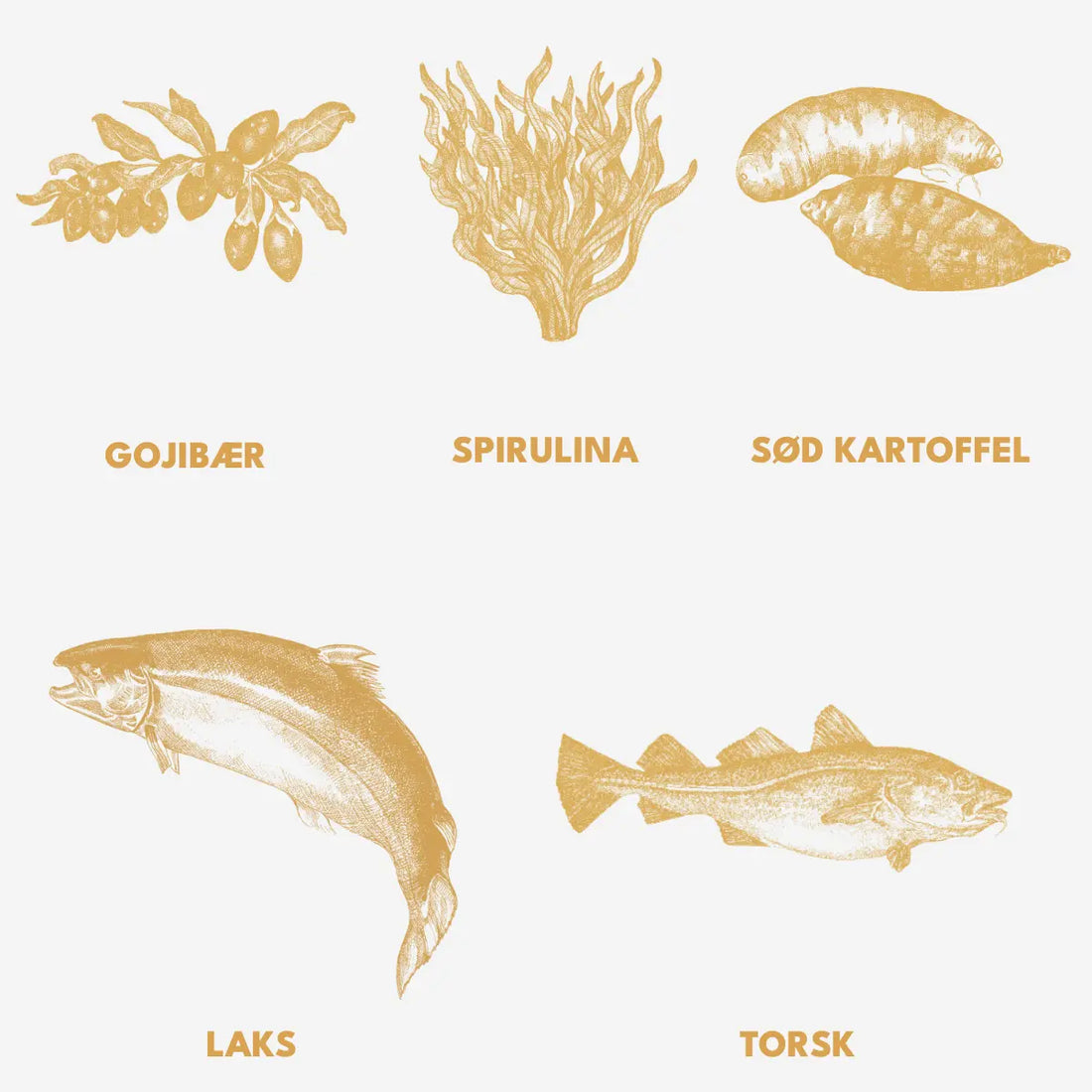 Essential Nautical Living Paté // Vådfoder med laks og torsk (400 g)