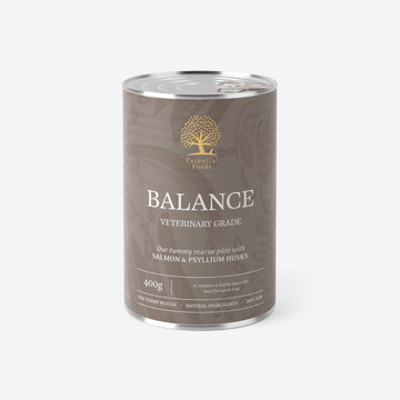 Essential Balance Paté // Gentle wet food for sensitive stomachs (400 g)