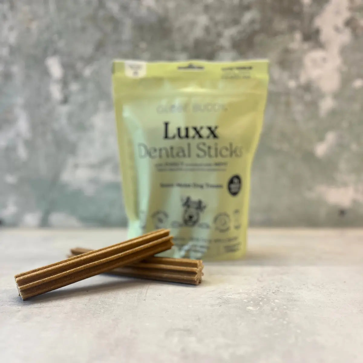 Globe Buddy Luxx // Dental Sticks med insektprotein og mynte