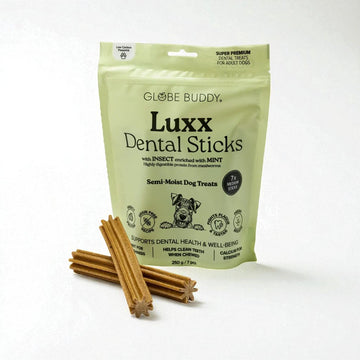 Globe Buddy Luxx // Dental Sticks with insect protein and mint 