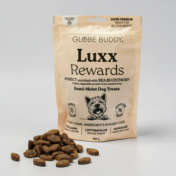 Globe Buddy Treat Luxx // Soft treats with insects and sea buckthorn