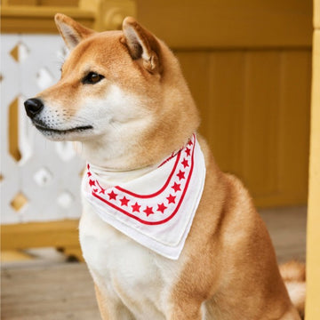 HAY Dogs Scarf // Cotton dog bandana (white/red)