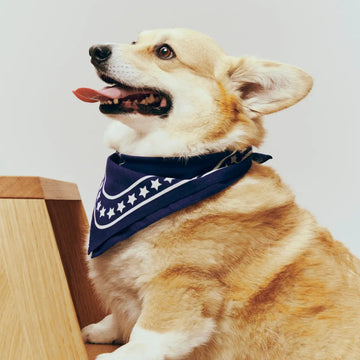 HAY Dogs Scarf // Cotton dog bandana (white/red) (Kopier) (Kopier) (Kopier) (Kopier)
