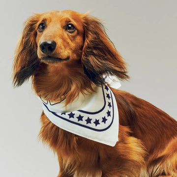 HAY Dogs Scarf // Cotton dog bandana (white/red) (Kopier) (Kopier) (Kopier)