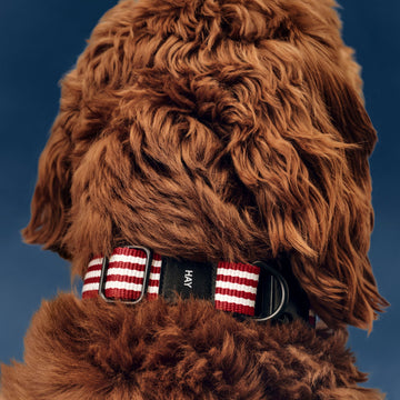 HAY Dogs Flat // Justerbart halsbånd i blødt nylon (rød/hvide striber)