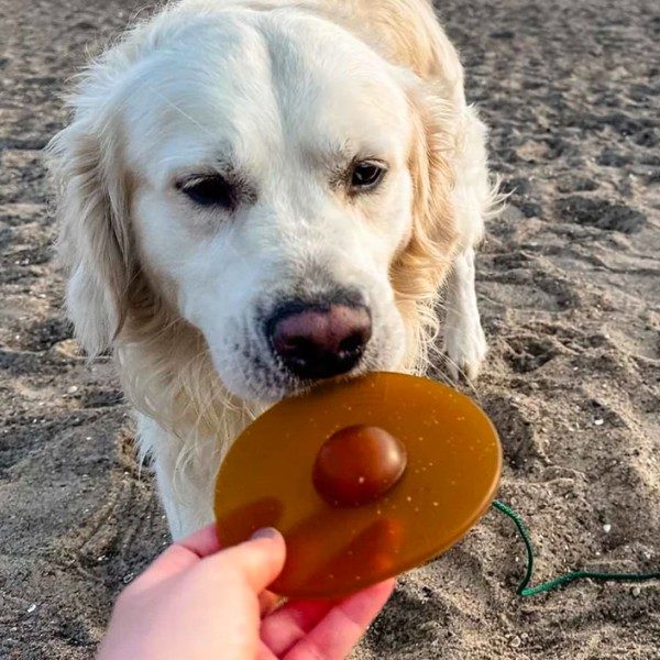 HEVEA // Galaxy Frisbee dog toy made of natural rubber