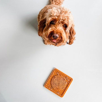 Hevea Lick Mat // Natural rubber lick mat