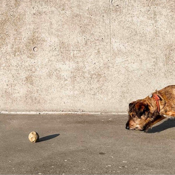 Hevea Moonball // Natural rubber ball with room for treats (green)