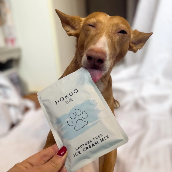 HOKUŌ™ Paw-Sicle Kit // Make your own dog ice cream with Bone Broth (moose)
