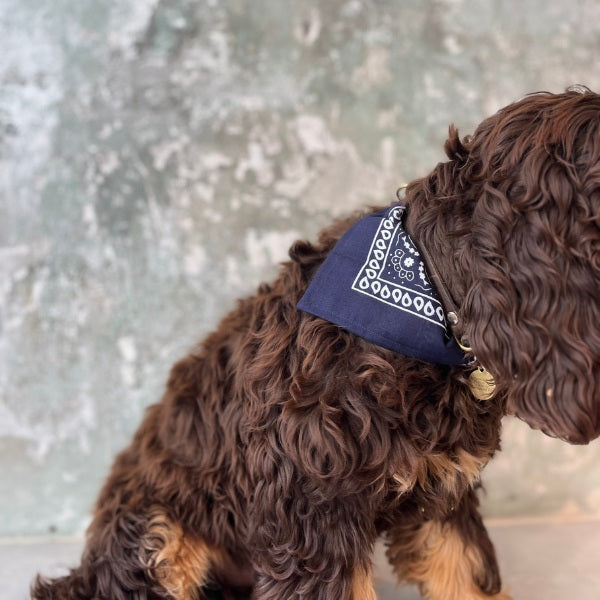 Hundekollektivet // Adjustable bandana and dog collar (blue)
