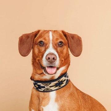 Buddys Dogwear // Beautiful Dog Collar Peyote Azul