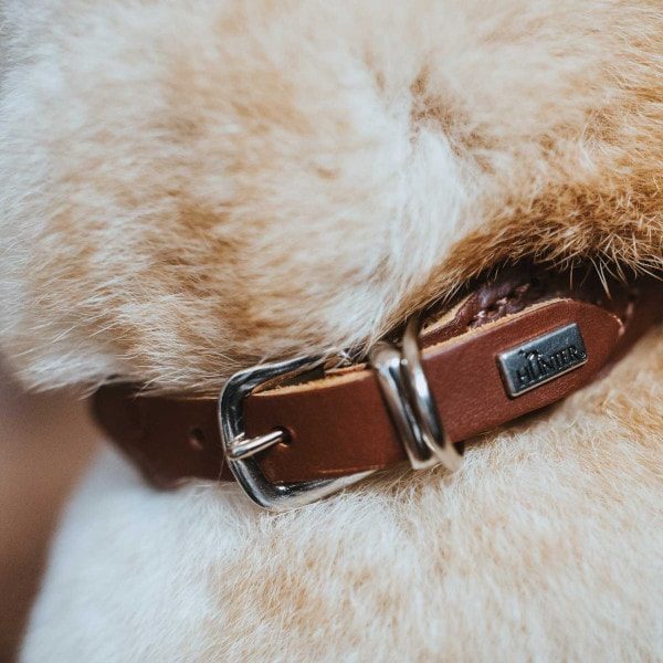 Hunter soft // Round-stitched collar (cognac)
