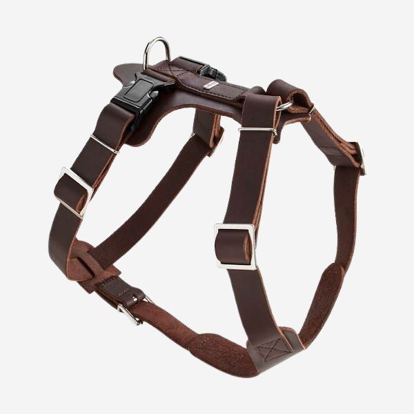 Harness Aalborg // Hunter leather y-harness (dark brown)