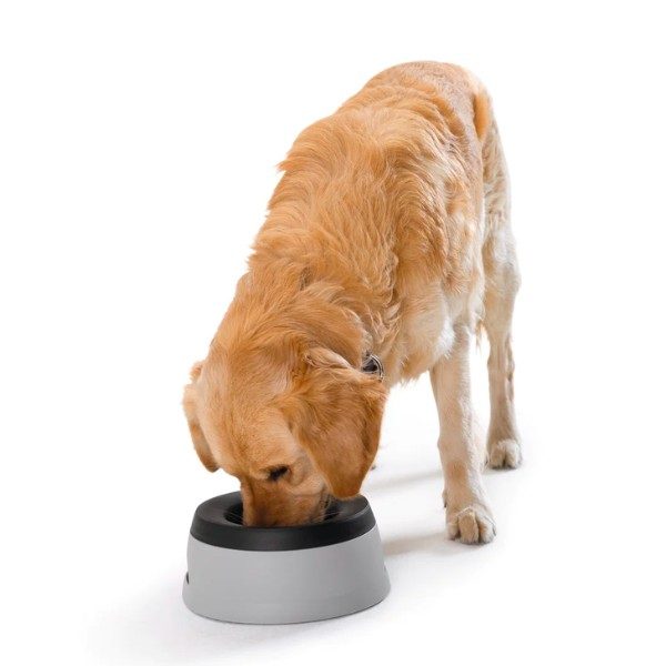 Hunter Refresher // Anti-spill travel bowl for water