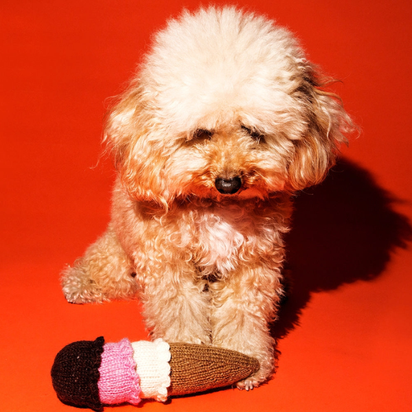 Ware of the Dog Crochet //  Økologisk hæklet legetøj (is)
