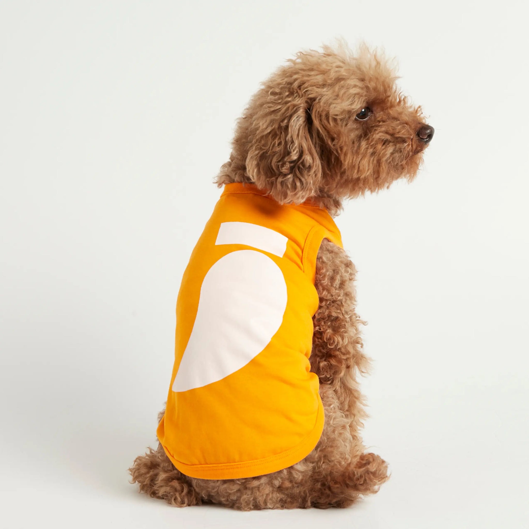 Imi Bodysuit // Hundetrøje i økologisk bomuld (orange)