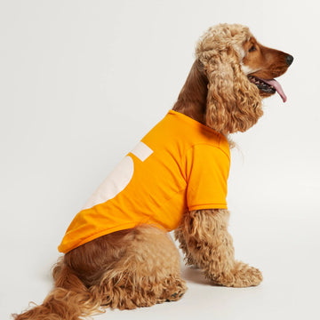 Imi T-shirt // Hundetrøje med ærmer i økologisk bomuld (orange)
