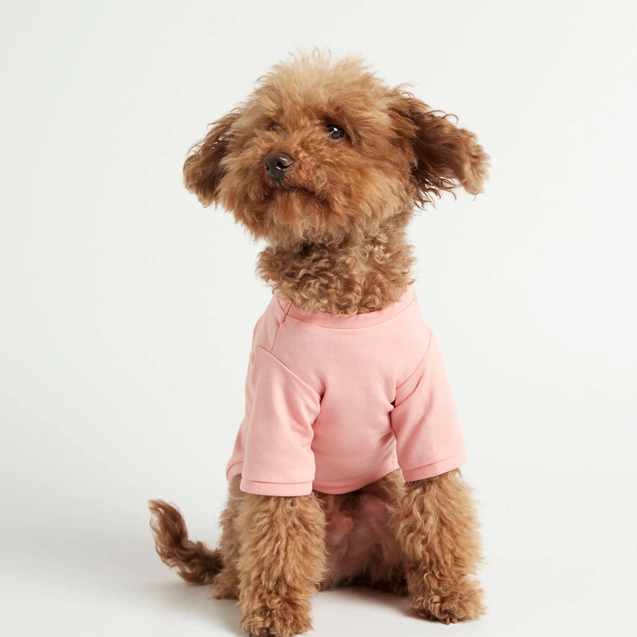 Imi T-shirt // Hundetrøje med ærmer i økologisk bomuld (pink)