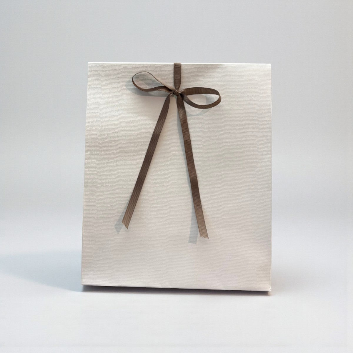 Stor Julegave // Gavepose til en ekstra heldig hund