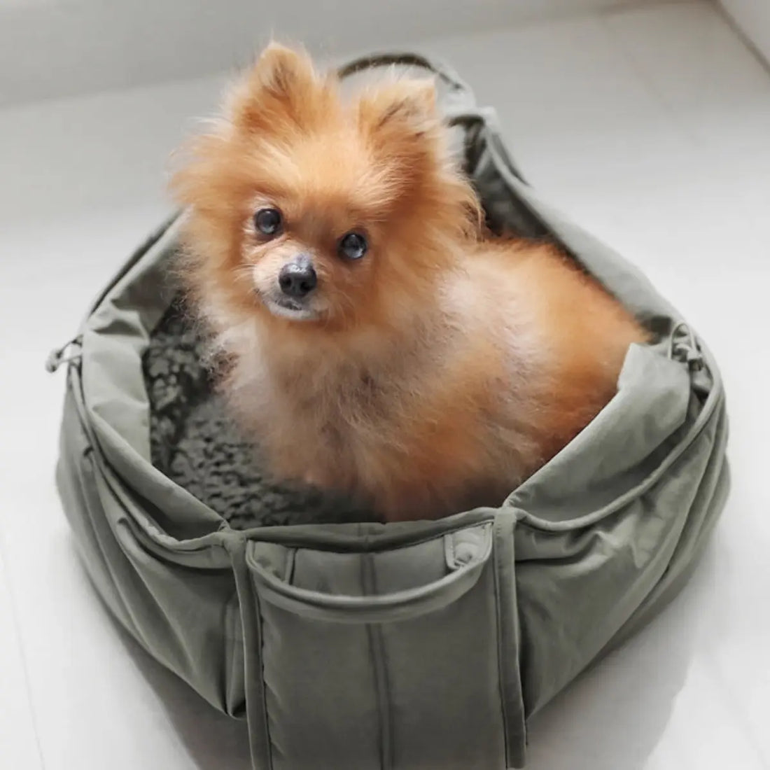 Lambwolf Olla // Bæresele til små hunde op til 5 kg. (fern)