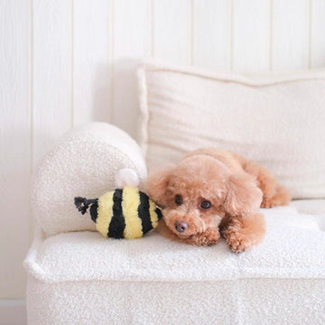 Lambwolf Bee Pop // Activity toy with 'squeak'