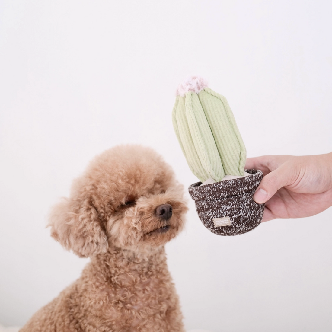 Lambwolf Cactus // Activity toy with pockets for treats