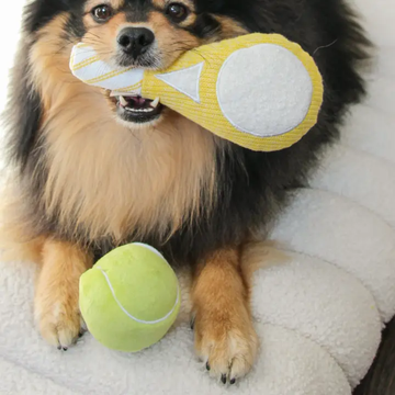 Lambwolf Tennis Pop // Activity Toy with Soft Ball