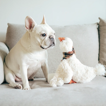 Lambwolf Gus // Soft dog toy with crinkle and squeaker