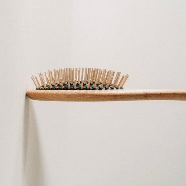 Lila Loves It // Brush for long-haired dogs