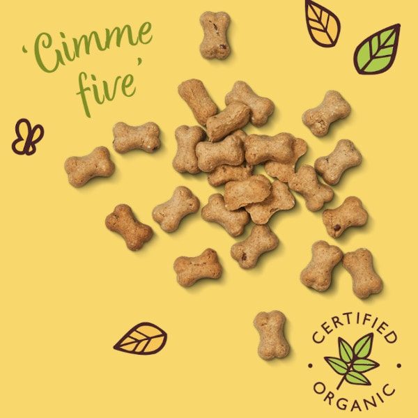 Lily's Kitchen Training Treats // Organic Cheddar & Apple Training Treats (80g)
