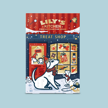Lily's Kitchen Advent Calendar // Christmas Calendar with Natural Treats