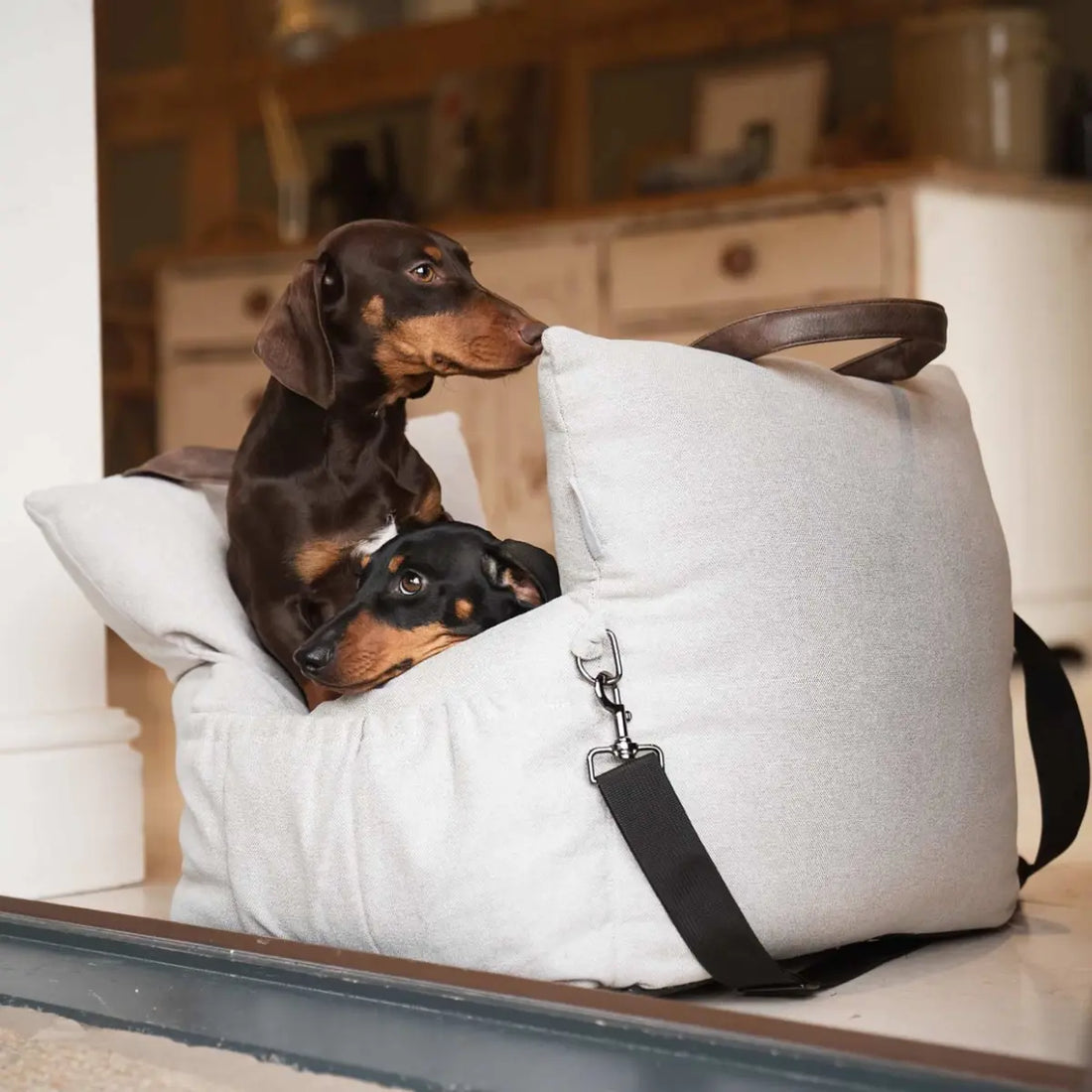 Lords & Labradors // 3-in-1 car seat for dogs (slate)