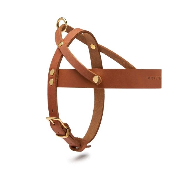 Butter Sahara // Classic dog harness in soft leather (cognac)