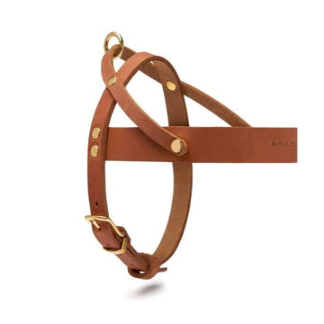 Butter Sahara // Classic dog harness in soft leather (cognac)