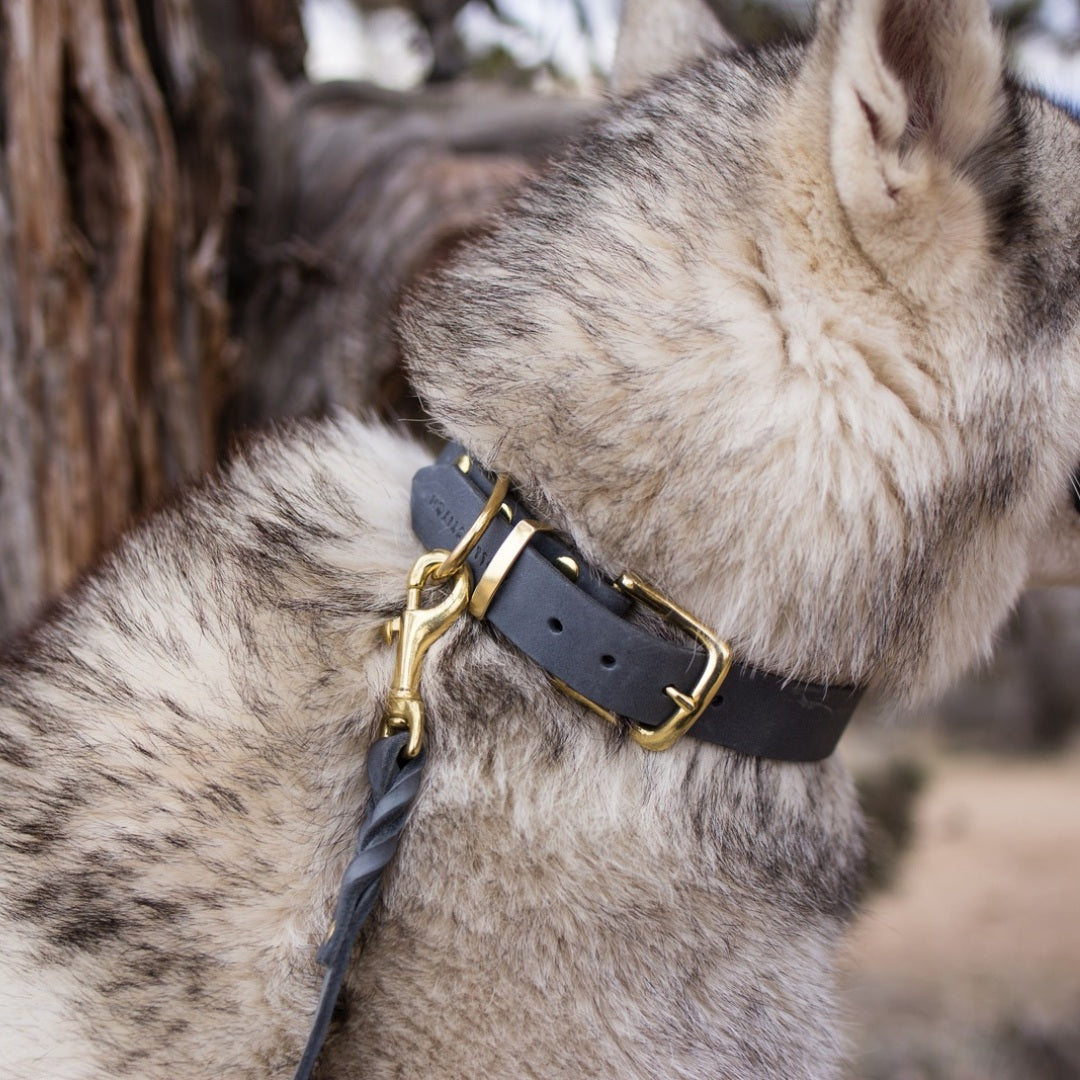 Butter Timeless // Soft leather dog collar (gray)