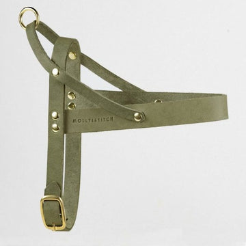 Butter Olive // Classic dog harness in soft leather (olive green)