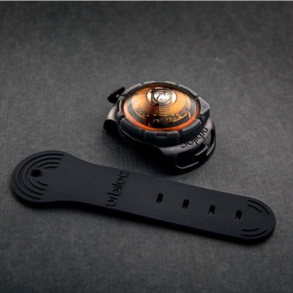 Orbiloc dog dual // Waterproof and impact-resistant dog light (amber)