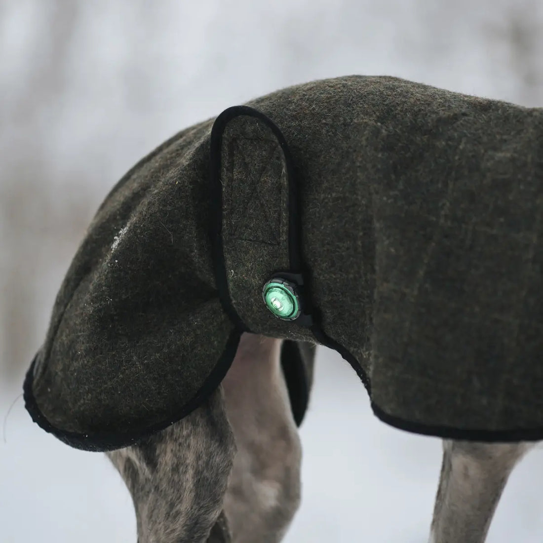 Orbiloc accessories// Orbiloc Clip