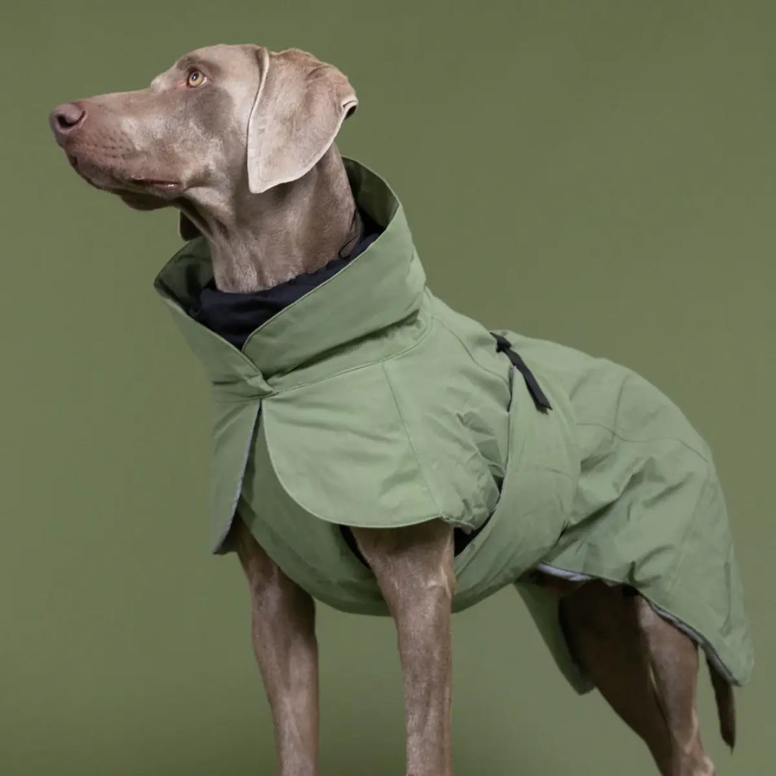 Paikka Winter // Functional and reflective winter coat (khaki green). (Kopier)