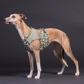 Paikka Cooling Vest // Kølevest til varme dage (green leo)