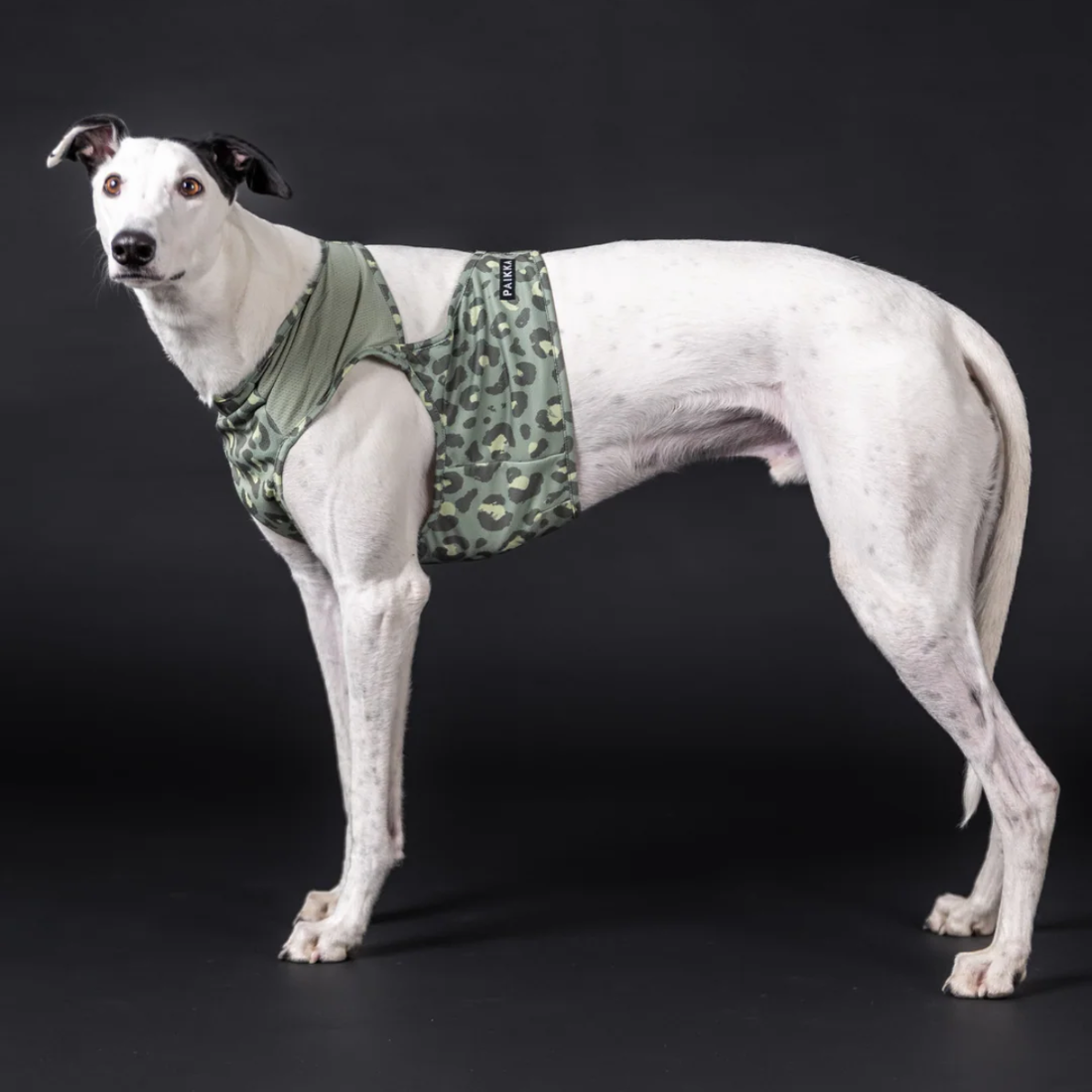 Paikka Cooling Vest // Kølevest til varme dage (green leo)
