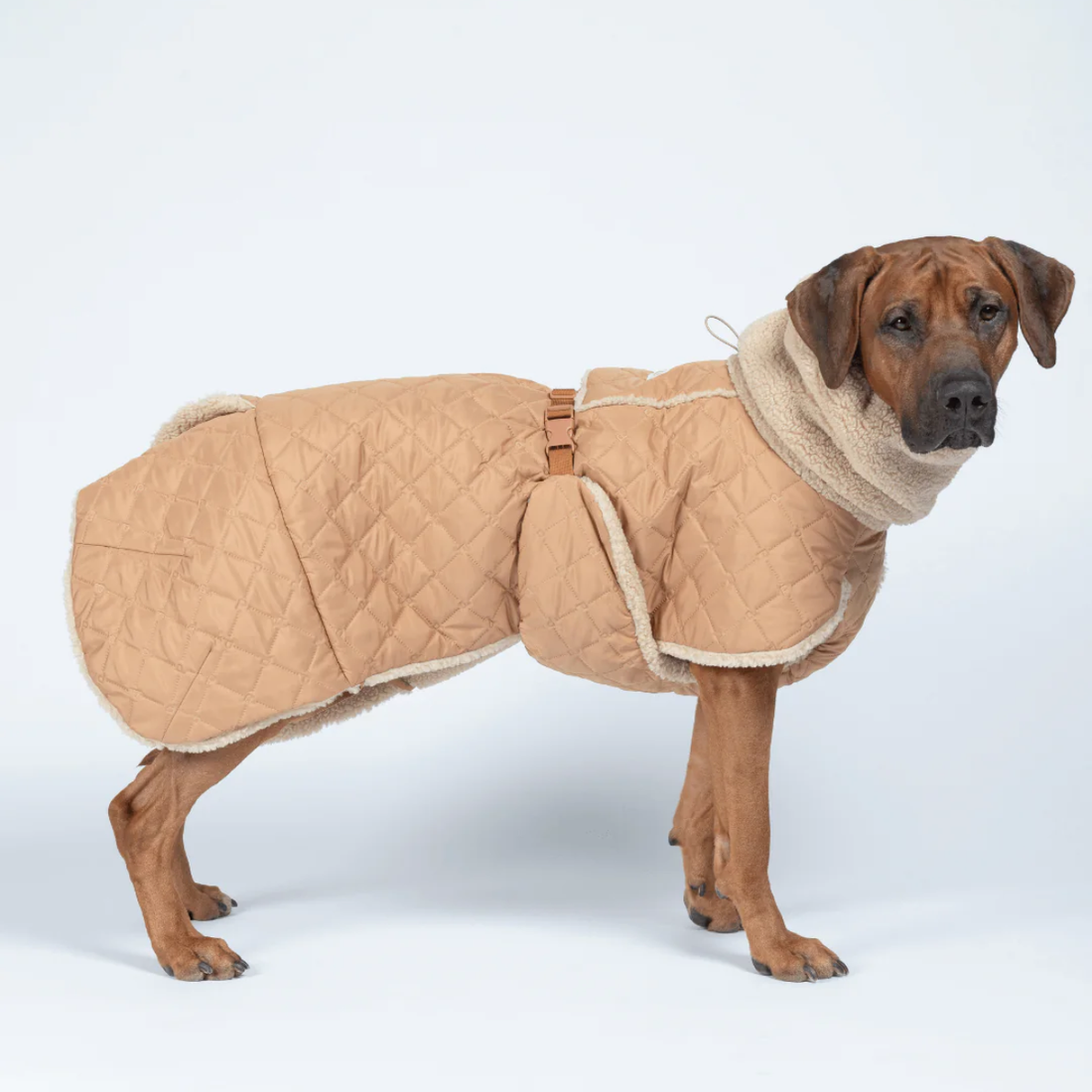 Paikka Quilted Sherpa // Vendbar vinterjakke med god pasform (kamel)