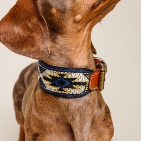 Buddys Dogwear // Beautiful Dog Collar Peyote Azul