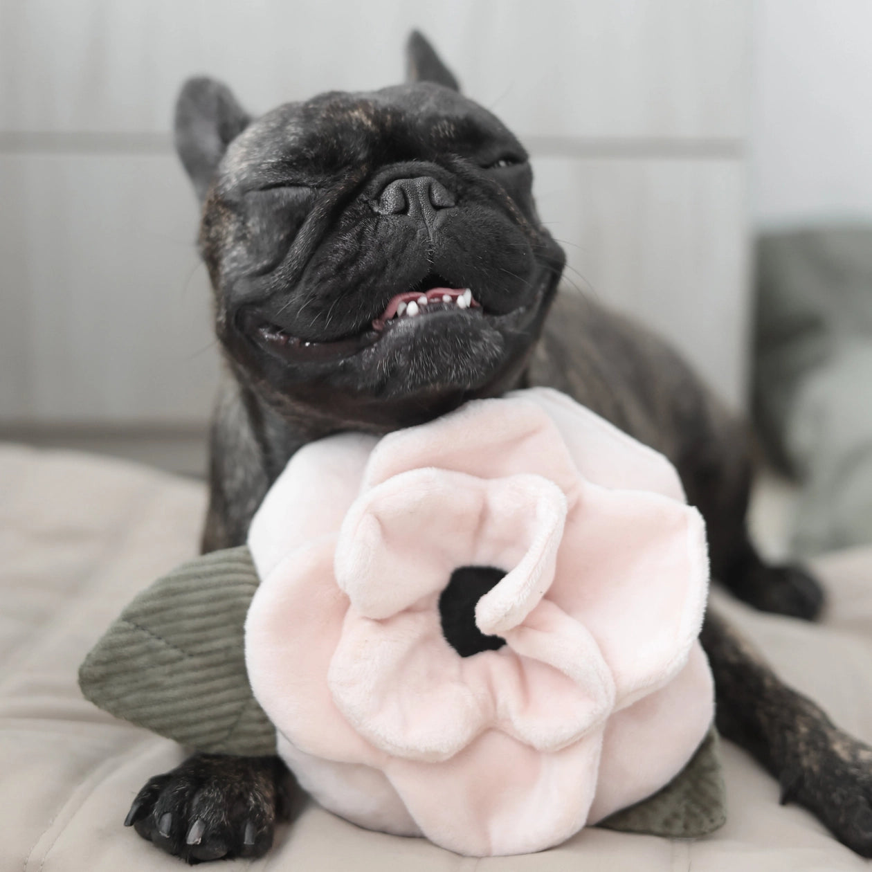 Lambwolf Poppy // Dog toy with 'squeak' and room for treats